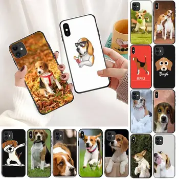 YNDFCNB Câine Beagle Caz de Telefon Acoperă Pentru iphone 13 11 8 7 6 6S Plus X XS MAX 5 5S SE 2020 XR 11 pro Acoperi 0